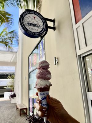 Handel’s Homemade Ice Cream by null