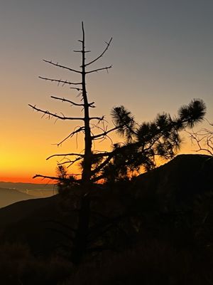 Fishlake National Forest by null