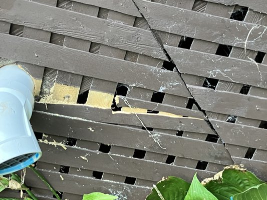 Appleton Campbell Logo