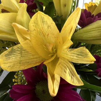 Cypress Gardens Flower Shop - Wilted flowers the day of the delivery - Florists Near Me - Miami, Florida