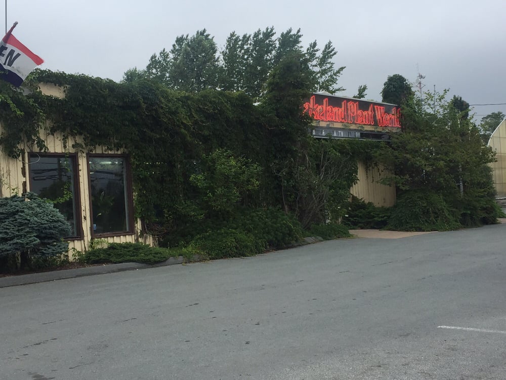 LAKELAND PLANT WORLD Updated September 2024 909 Main Street