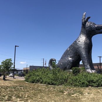 Denver Animal Protection - Veterinarians Near Me - Denver, Colorado Denver Animal Protection - Veterinarians Near Me - Denver, Colorado
