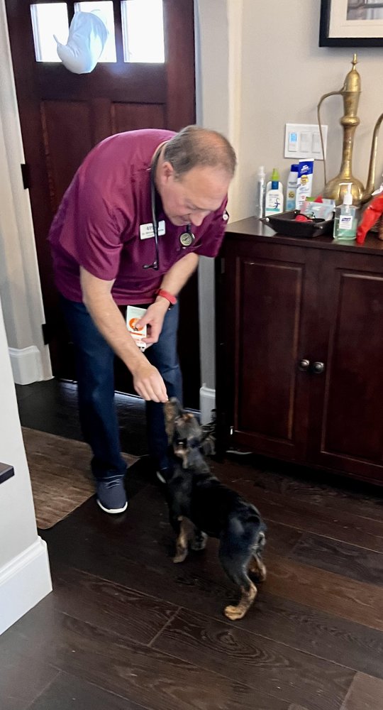 4 Paws Mobile Veterinary Services