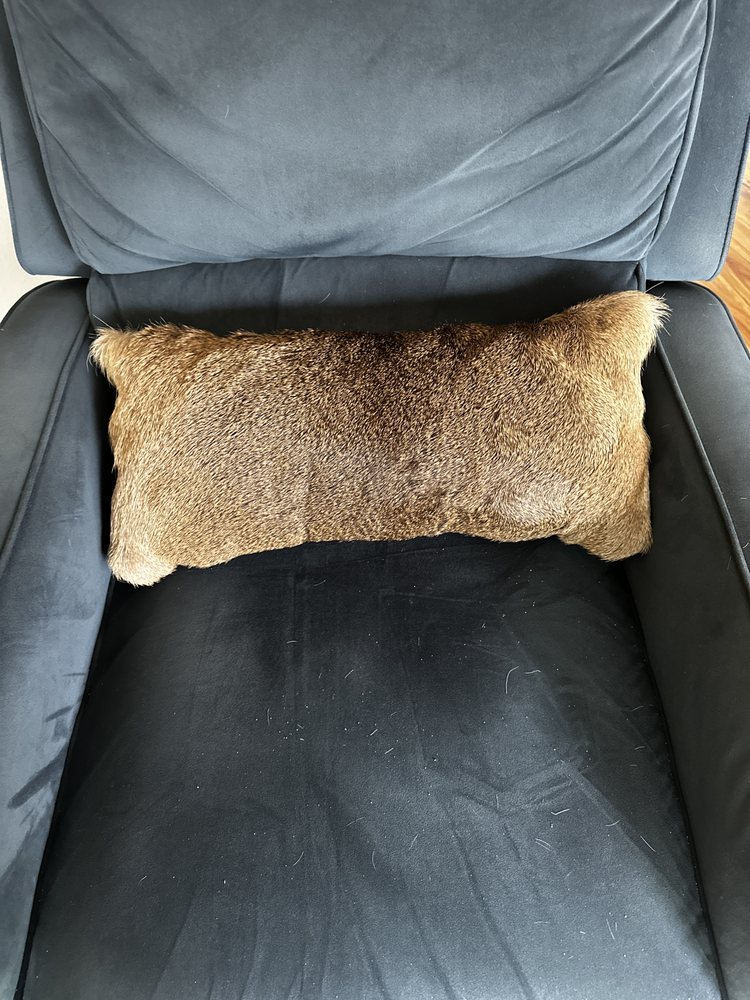 North Texas Tannery - taxidermy in Denton, TX