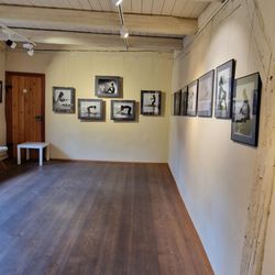 Schiefes Haus - Fotoausstellung