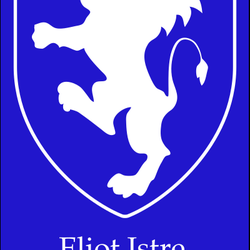 Lion Plumbing - Lion Plumbing Inc, O&O by Eliot Istre, Master Plumber, License no. M6518