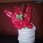 Photo of Party Animal Balloons