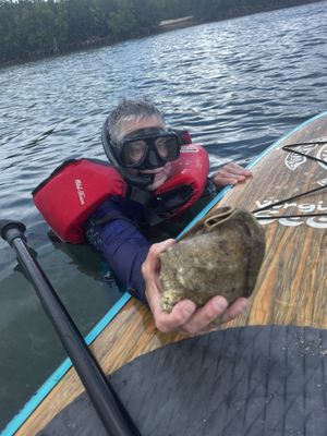 Virgin Islands Ecotours - St. Thomas by null