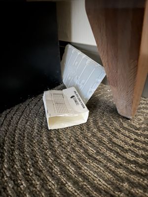 Hotel Zephyr by null