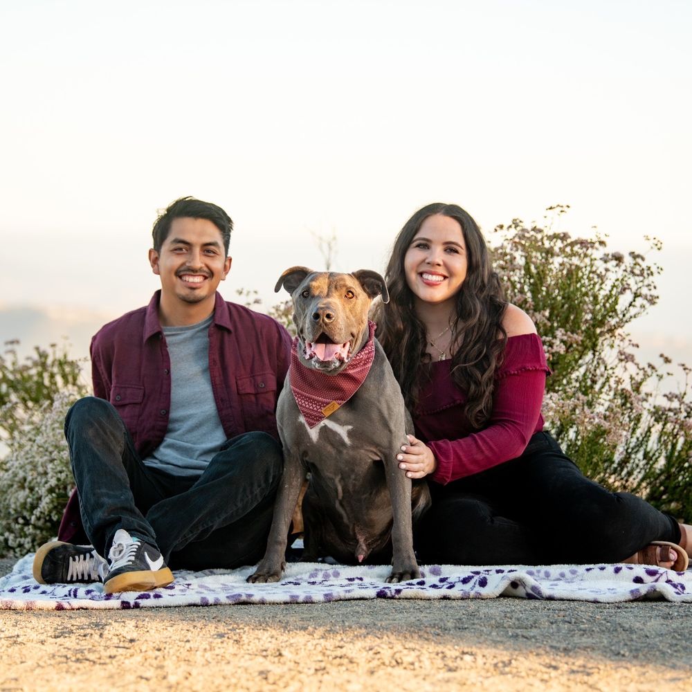 BMAC Pet Photography - Pet Photography Near Me BMAC Pet Photography - Pet Photography Near Me