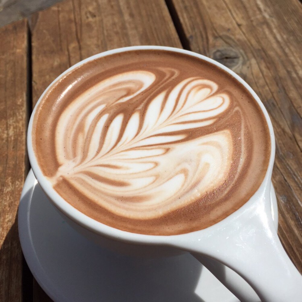 Hub Coffee Roasters - Mocha - Coffee Roasteries Near Me - Reno, Nevada Hub Coffee Roasters - Mocha - Coffee Roasteries Near Me - Reno, Nevada
