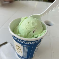 Lickety Split - Pistachio Ice Cream, single scoop