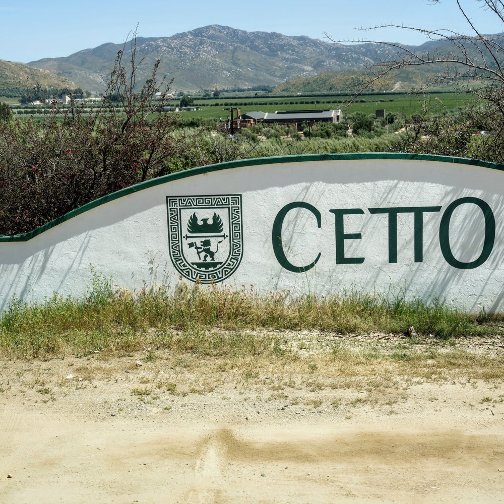 LA Cetto - Wineries Near Me - Valle de Guadalupe, BCN
