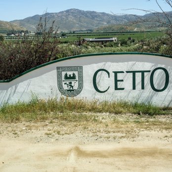 LA Cetto - Wineries Near Me - Valle de Guadalupe, BCN