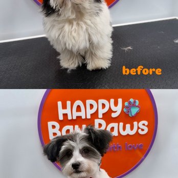 Happy Bay Paws - Pet Groomers Near Me Happy Bay Paws - Pet Groomers Near Me