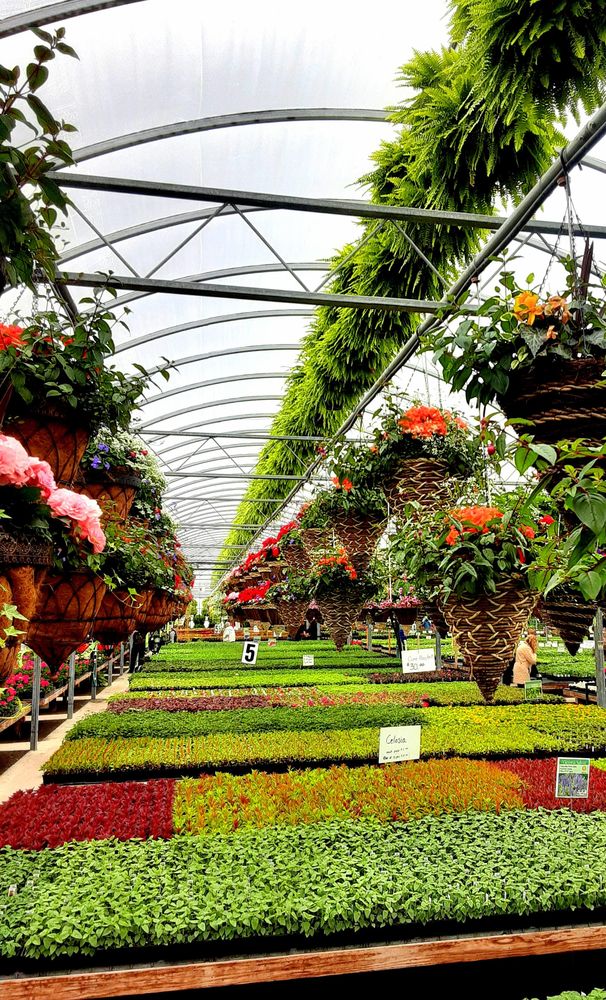 AMHERST GREENHOUSE Updated September 2024 644 County Rd 126, Harrod