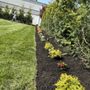 Pineda Landscaping