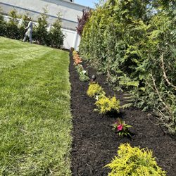 Pineda Landscaping