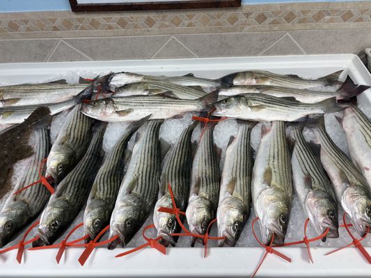 Wild Country Seafood by null