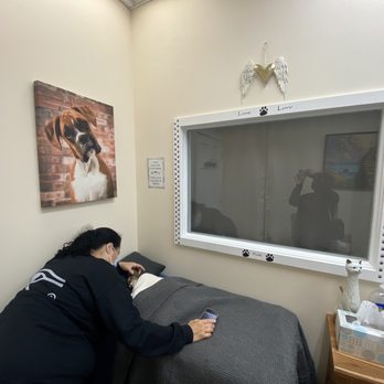 Final Gift Pet Memorial Center - Room for final goodbye/witness - Pet Cremation Services Near Me - Clifton, New Jersey Final Gift Pet Memorial Center - Room for final goodbye/witness - Pet Cremation Services Near Me - Clifton, New Jersey