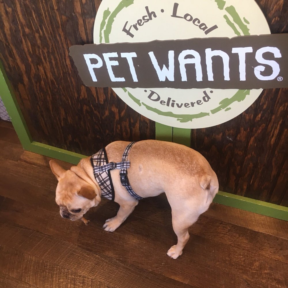 Pet Wants - Pet Stores Near Me - Neptune Beach, Florida Pet Wants - Pet Stores Near Me - Neptune Beach, Florida