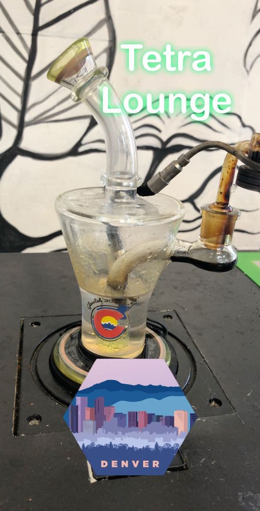 TETRA PRIVATE LOUNGE AND GARDEN 17 Photos & 21 Reviews Lounges