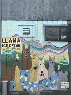 Llama Ice Cream by null