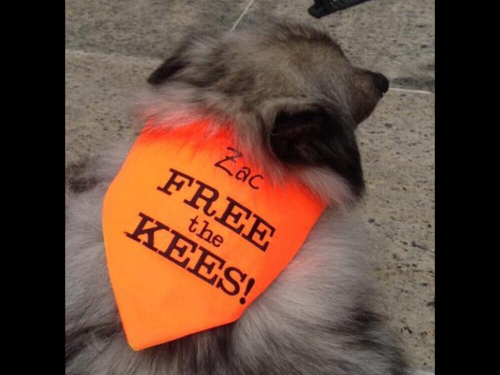 PET GOODS Updated September 2024 10 Photos & 17 Reviews 1895 S Rd