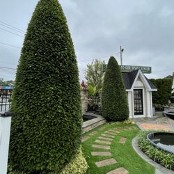 Hewlynn Home & Garden Center - Hewlynn Home and Garden Beautiful Displays - Deer Park, NY 11729