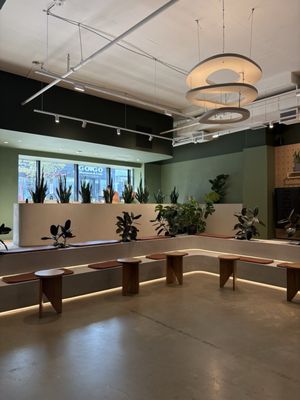 Grounded: Plant Shop, Cafe, & Wellness Studio by null