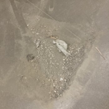 The Home Depot - My clean up of the concrete isle. - Nurseries & Gardening Near Me - Rockford, Illinois