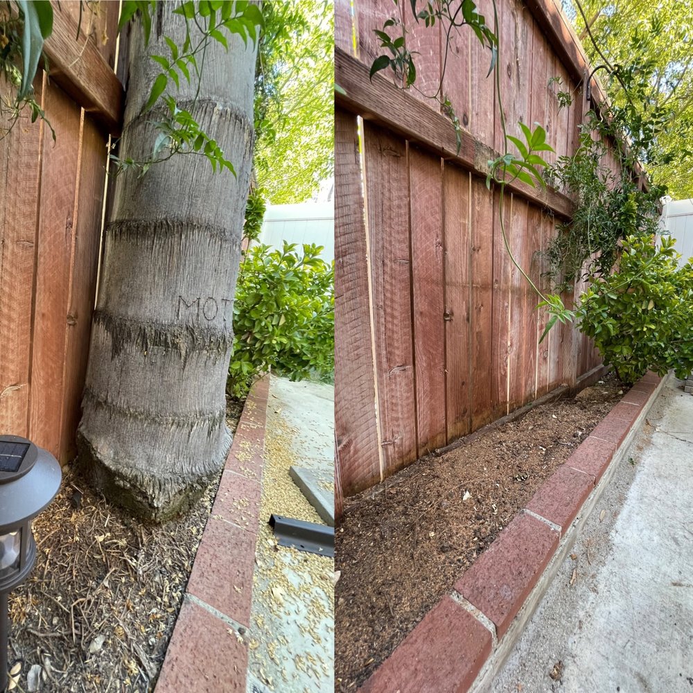 Clean removal. No damage to surrounding area Clean removal. No damage to surrounding area