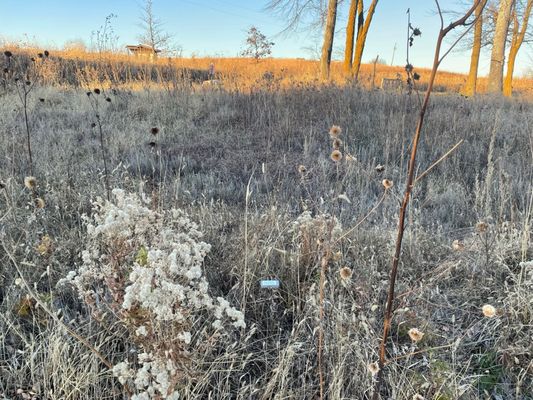 Spring Creek Prairie Audubon Center by null