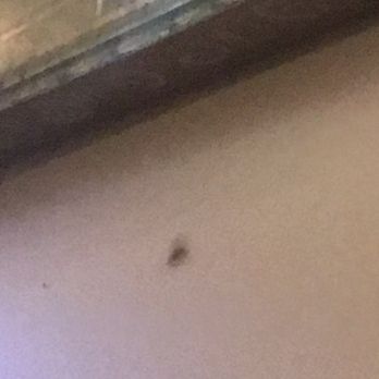 East LA - Horrible I'm so upset - Bars Near Me - Hoboken, New Jersey