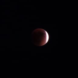 2 mile Blood Moon group hike! 2 mile Blood Moon group hike!