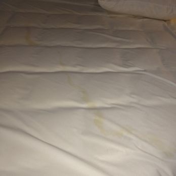 Spark by Hilton Round Rock - Mattress stains - Hotels Near Me - Round Rock, Texas