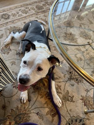 Apple Dave's Distillery by null