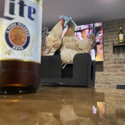 Lucky Linda’s - Bar