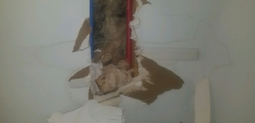 Slide of Michael Shaver Plumbing