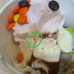 Tutti Frutti