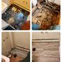 Photo of Auggie's Handyman Services