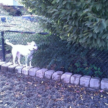 Hondo Dog Park - Waking the line - Dog Parks Near Me - Hillsboro, Oregon Hondo Dog Park - Waking the line - Dog Parks Near Me - Hillsboro, Oregon
