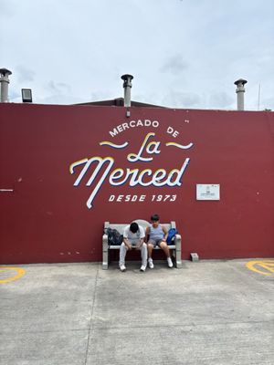 Mercado de La Merced by null