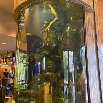 Kona Grill - La Cantera - Sushi Bars Near Me - San Antonio, Texas Kona Grill - La Cantera - Sushi Bars Near Me - San Antonio, Texas