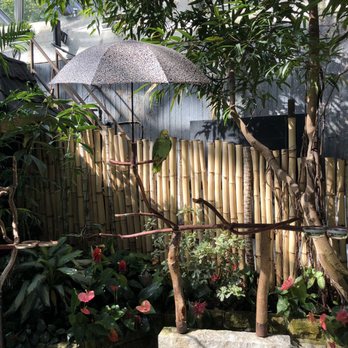Bloedel Conservatory - Botanical Gardens Near Me - Vancouver, British Columbia