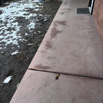 Nevada Commercial Services - More uncleaned dog feces. - Property Management Near Me - Reno, Nevada Nevada Commercial Services - More uncleaned dog feces. - Property Management Near Me - Reno, Nevada