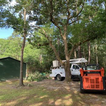 Kingdom Cutters - Tree Services Near Me Kingdom Cutters - Tree Services Near Me