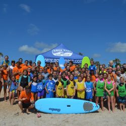 Surf Into Summer