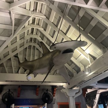 Riptides Raw Bar & Grill - We got to see a land-shark - Seafood Near Me - Ormond Beach, Florida