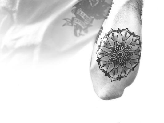 Old Rose Tattoo by null